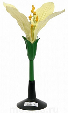 Модель цветка капусты (25х25х34 см/ 0,19 кг)  Д03 – портал поставщиков НСППО - 1