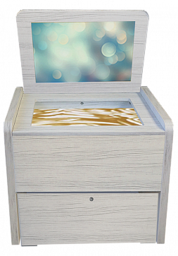 Сундучок психолога-дефектолога "Антошка" ДОУ – портал поставщиков НСППО - 1