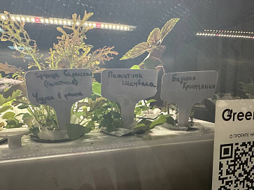 Цифровая биолаборатория (климатическая гидропонная камера) LUX-5 ПАК для выращивания растений через программное обеспечение Виртуальный агроном  – портал поставщиков НСППО - 8