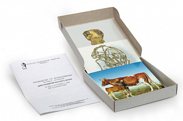 Цикл развития бычьего цепня (набор из 7 карт) 15х15   К26Л – портал поставщиков НСППО - 1