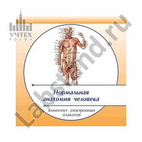 Наглядные пособия по различным дисциплинам обучения СПО и ВПО – портал поставщиков НСППО - 3