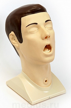 Т09 Многофункциональный тренажер головы – портал поставщиков НСППО - 1