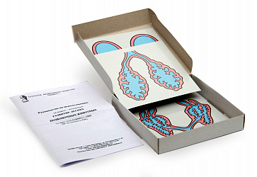 "Развитие легких позвоночных животных" (демонстрационное пособие) (набор из 5 карт) 15х15 – портал поставщиков НСППО - 1