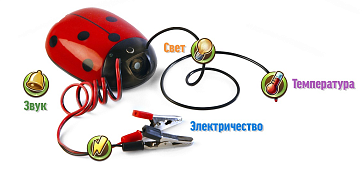 Детская цифровая лаборатория "Наураша в стране Наурандии" – портал поставщиков НСППО - 8