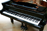"АМЕДЕУС" L215 Рояль Полуконцертный