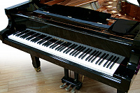 "АМЕДЕУС" L215 Рояль Полуконцертный – портал поставщиков НСППО
