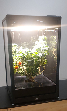 Умная теплица  ситиферма для рыращивания бонсай овощей и пряных трав  "Мажор" Greenbar  – портал поставщиков НСППО - 5