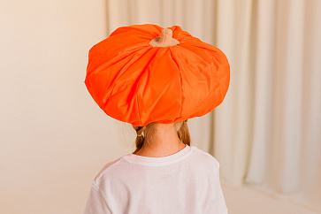 Овощ (шапочка): тыква – портал поставщиков НСППО - 3